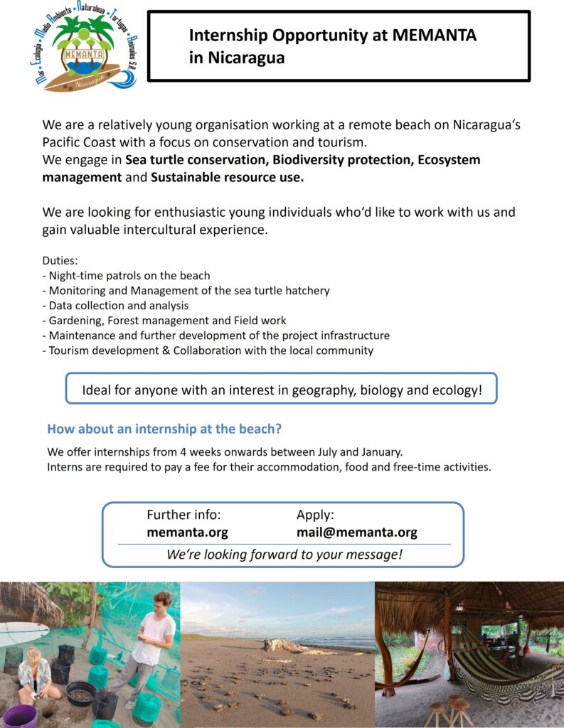 Internship sea turtle conservation in Nicaragua – MEMANTA